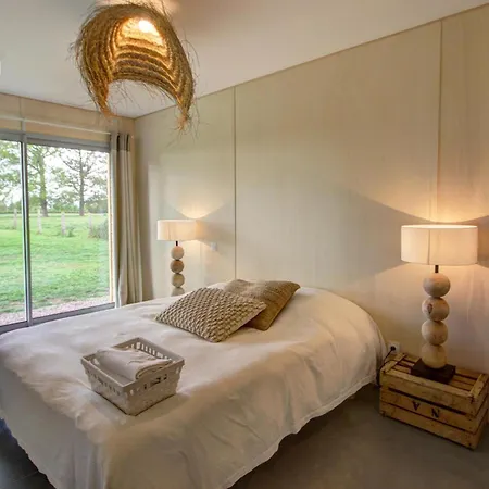 Ferienhaus Cocon Avec Et Sauna A - Fr-1-496-6 Saint-Germain-Lespinasse